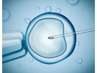 Best IVF Center in Kolkata – Uma Medical’s Trusted Fertility Care