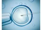 Best IVF Center in Kolkata – Uma Medical’s Trusted Fertility Care