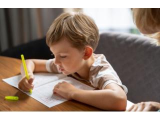 Clinical Handwriting Therapy and Developmental Support