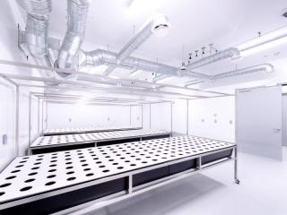 Grow Room Vinyl Panels-Where Hygiene Meets Durability