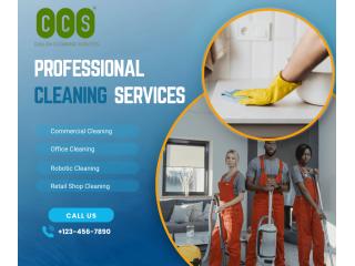 Experience Spotless Perfection of Professional Cleaning Company