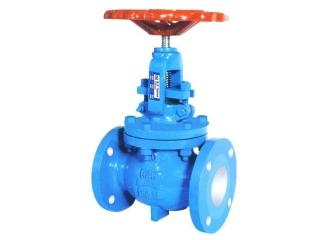 Industrial Globe Valves Manufacturer in Gujarat - AEW