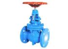 Industrial Globe Valves Manufacturer in Gujarat - AEW