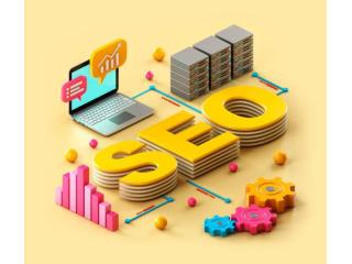 Cost of SEO In Delhi