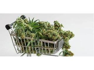 Buying Marijuana Online