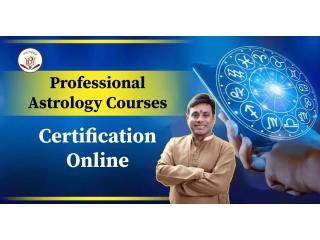 Master Vedic Astrology Online