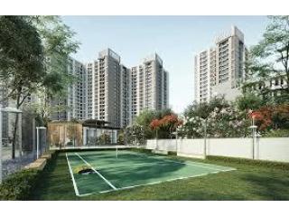 Your Trusted Source for Luxury 3 BHK Flats in Noida: Rahane Realty