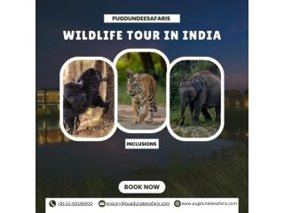Book the Best Wildlife Tour in India – Limited Slots
