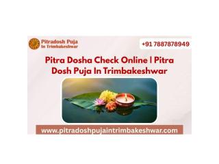Pitra Dosha Check Online | Pitra Dosh Puja In Trimbakeshwar