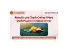 Pitra Dosha Check Online | Pitra Dosh Puja In Trimbakeshwar