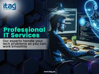 Professional IT Consulting Support for Strategic Technology Decisions