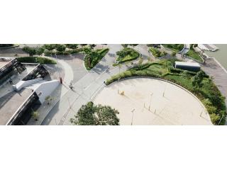 Smart Outdoor Care with Commercial Landscaping Maintenance