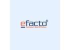 Powerful Retail Inventory Management Software for Growing Businesses | Efacto