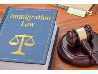 Immigration Form Preparation – Reliable Filing Assistance