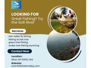 Looking for Great Fishing? Try the Salt River