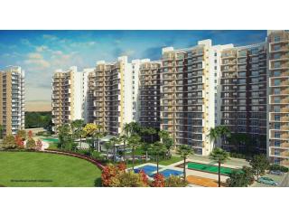 Start Your Property Journey with a Proven Real Estate Advisor in Noida