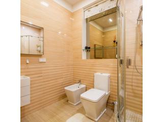 Professional Bathroom Remodel Services in Florida