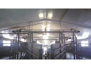 PVC Dairy Wall Panels Match Modern Hygiene And Safety Requirements