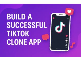 Create Your Own TikTok-Like App with Multi-Account Features