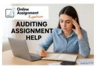 Auditing Assignment Help for Accurate Academic Solutions