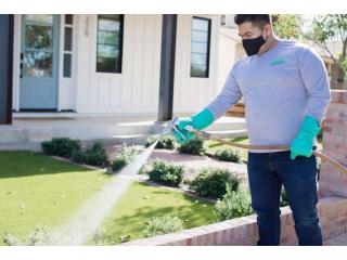 Phoenix Pest Control - Arizona Pest Solutions