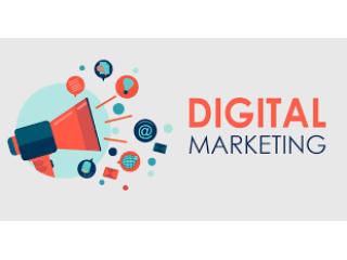 Best Digital Marketing Agency in Noida for Business Growth