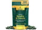 Superfood Energy With Organic Spirulina Powder for Daily Wellness