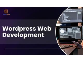Website Development Service