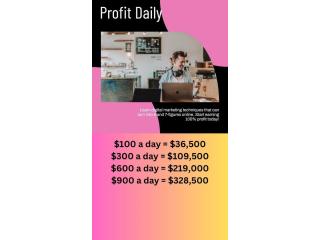 Digital Marketing Business $100 to $300 a Day