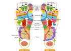 CCcollections Socks Reflexology for Daily Foot Wellness