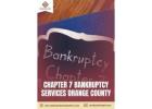Immediate Chapter 7 bankruptcy Services