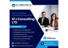 Expert Bookkeeping and VAT Services by EFJ Consulting London