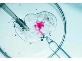 IVF Treatment in Kolkata at Uma Medical: Advanced Care