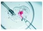 IVF Treatment in Kolkata at Uma Medical: Advanced Care