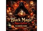 Black Magic Specialist in North York