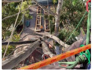 Professional Arborist Services – Expert Tree Care & Removal Guaranteed