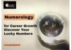 Best Numerologist in Worli for Personal & Business Success