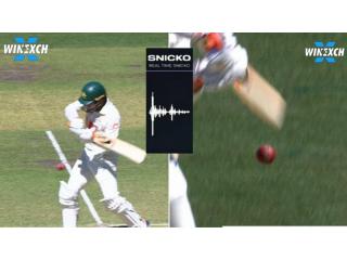 ICC Reviews Controversial Ashes Dismissal