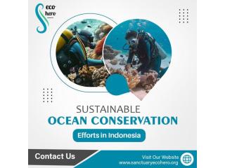 Sustainable Ocean Conservation Efforts in Indonesia