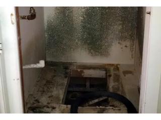 Reliable Flood Damage Restoration Services In San Diego