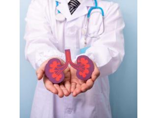 Get the Best Kidney Transplant in Mumbai with Dr. Chandan Chaudhari