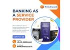 Banking as a Service Provider | Digital Payment Solution