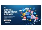 Leading Digital Marketing Company in Gurgaon