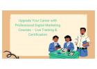 Upgrade Your Career with Professional Digital Marketing Courses – Live Training & Certification