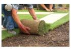 Find the Turf Installation Guide for a Perfect Natural Lawn