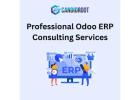 Professional Odoo ERP Consulting Services