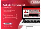  Website Development Company 