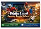 Hire Experts for White Label Fantasy Sports Software | BR Softech