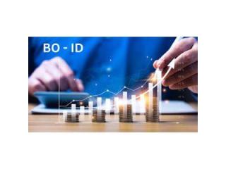What Is BO ID & How to Find It Easily
