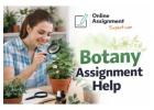 Reliable Botany Assignment Help Services